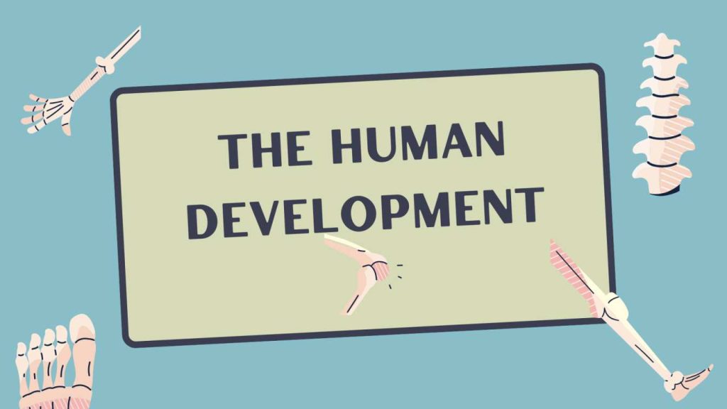 human development